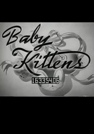 Baby Kittens poster