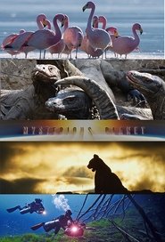 Movie Picture
