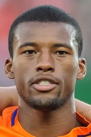 Georginio Wijnaldum portrait