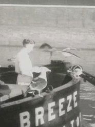 Movie Picture