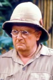 Don Estelle portrait