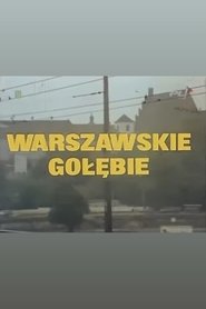 Warszawskie gołębie poster