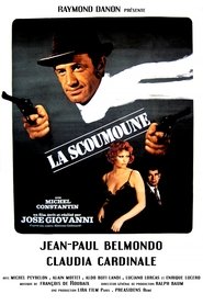 Movie Picture