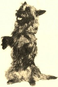 Terry portrait