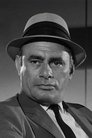 Martin Balsam photo