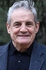 Francesco Salvi photo