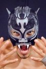 Tigre Uno photo