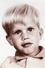 Stephen Shea photo