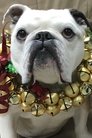 Nellie photo