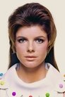 Katharine Ross photo