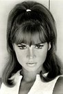 Jocelyn Lane photo