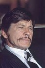Charles Bronson photo