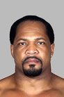 Ron Simmons photo
