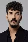 Mert Dogan photo