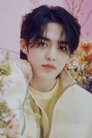 S.Coups photo