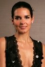 Angie Harmon photo