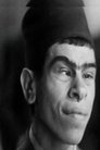 Safa El Gamil photo