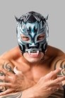 Tigre Uno photo