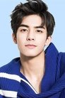 Song Weilong photo